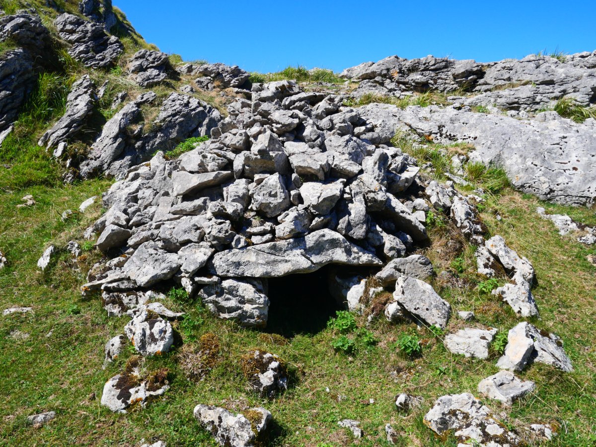 Zabalegi lepoko arkuek
