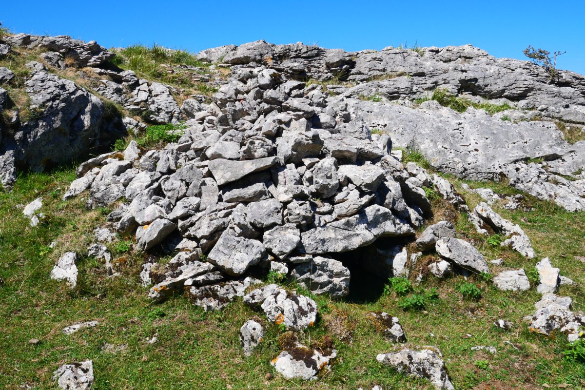 Zabalegi lepoko arkuek