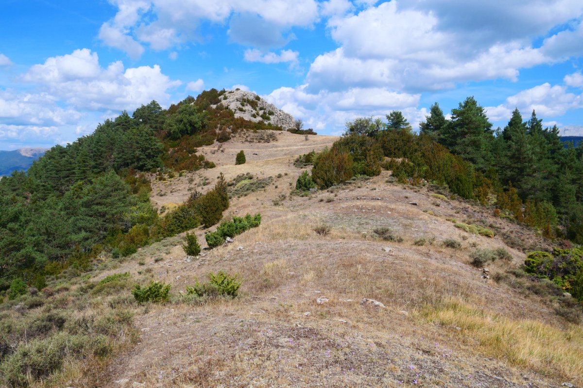 Portillo de Antón, iparraldeko lepoa, Dozola.