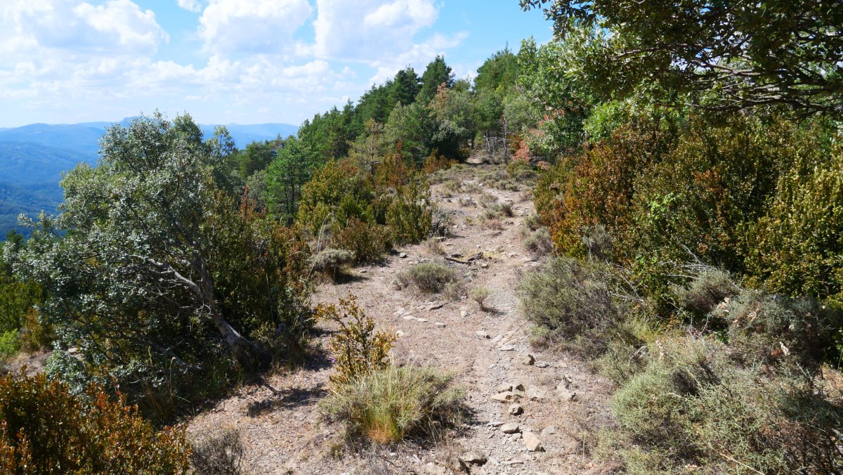 Marzaetxe bideko pasarte bat