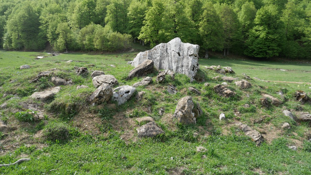 Lintza I Ipar trikuharria