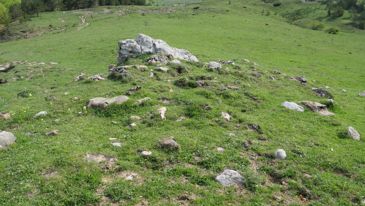 Lintza I Ipar trikuharria