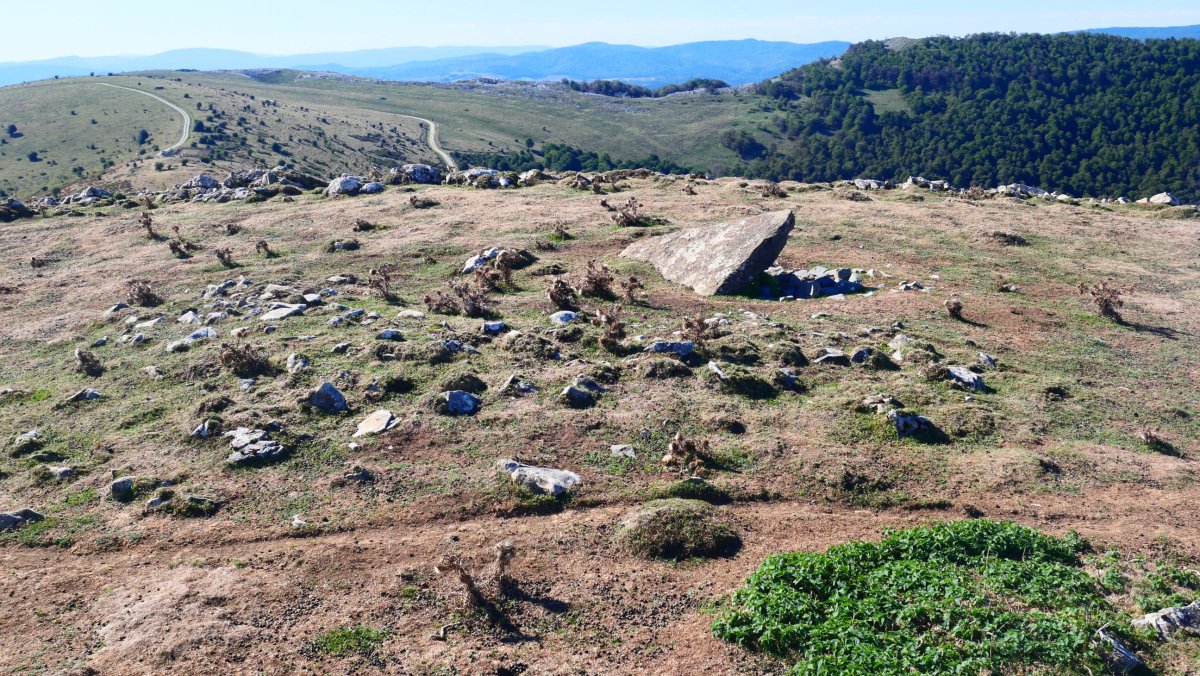 Gibelea trikuharria, Auztarri gailurretik gertu