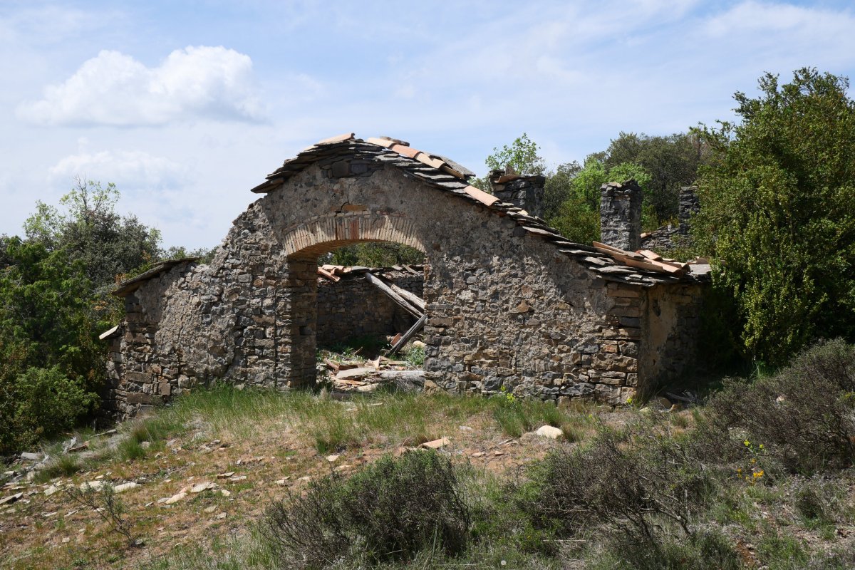 Beste borda baten aurriak bidean