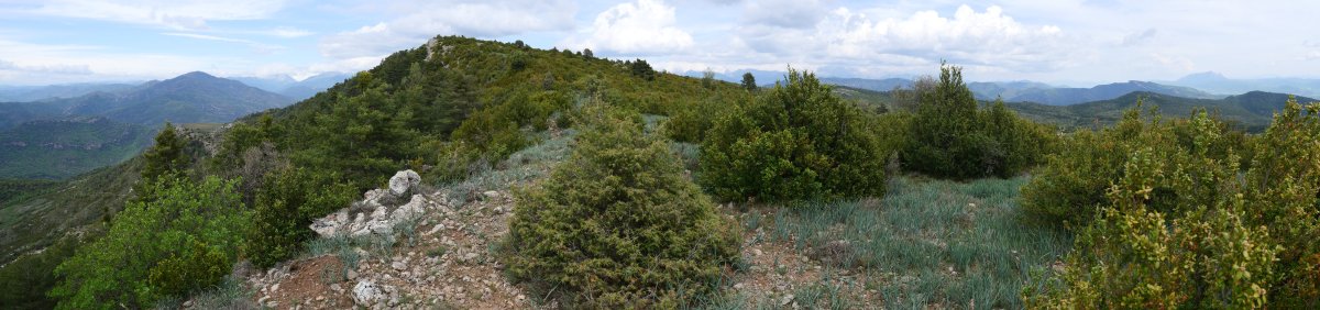 Punta d’o Trueno gailurra