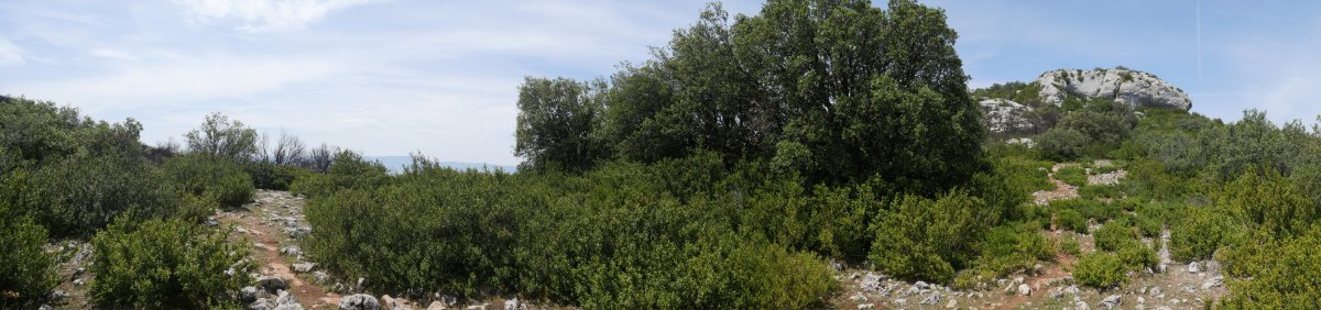 Romastaca eta Ibarra arteko lepoko panoramika