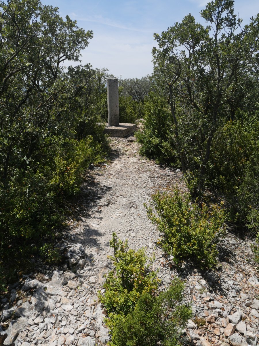 Trinitateko erpin geodesikoa