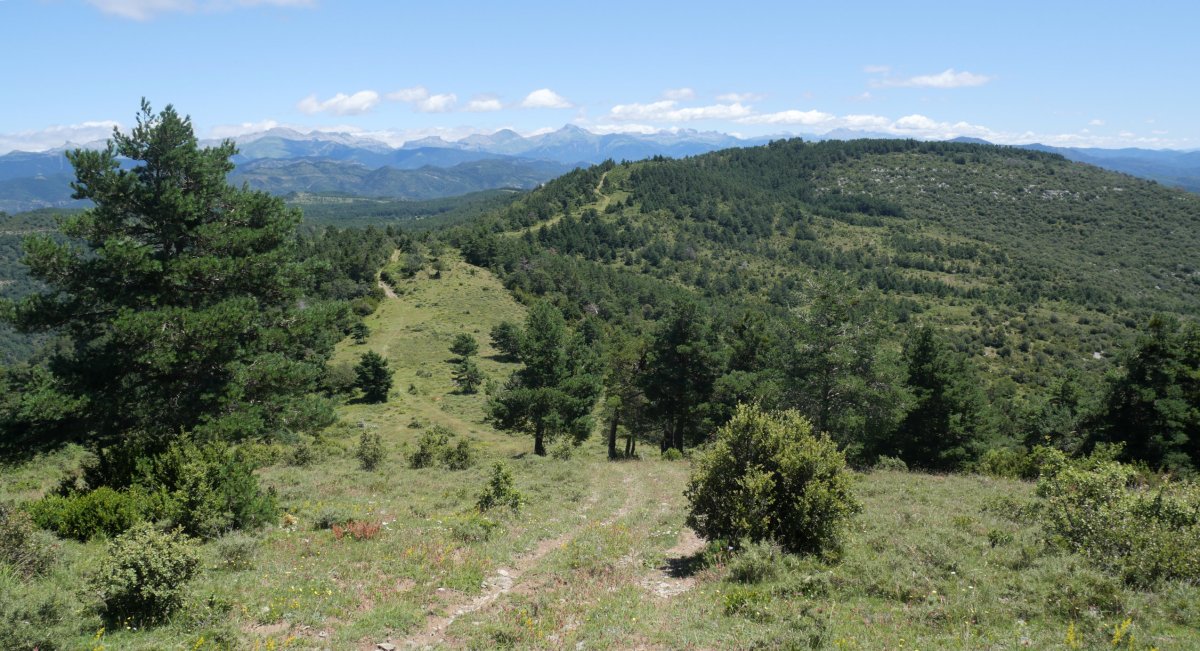 Valdepeña Bardipeña aldetik
