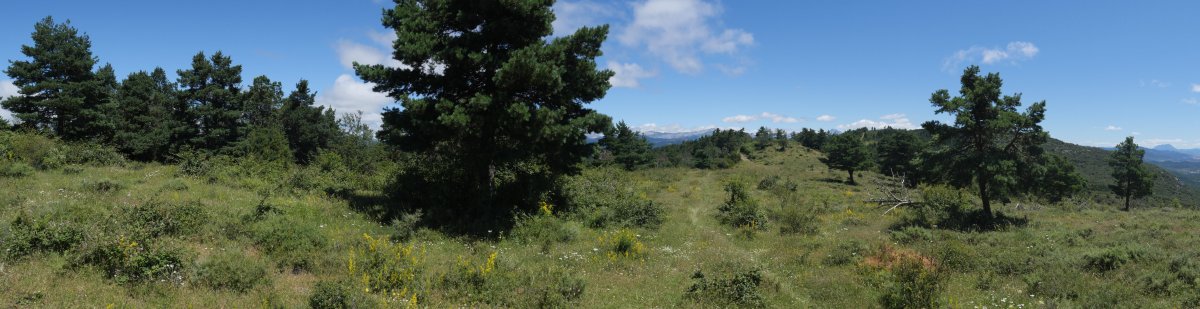 Bardipeña eta Valdepeña arteko lepoa