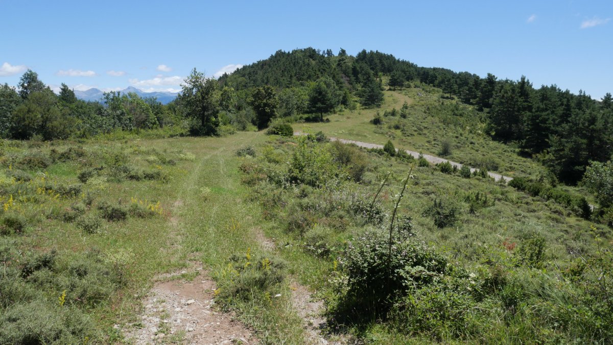 Valdepeñako igoeraren hasiera