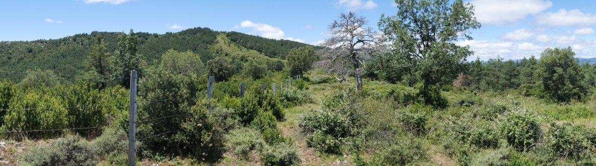 Valdepeña IEko bizkarretik