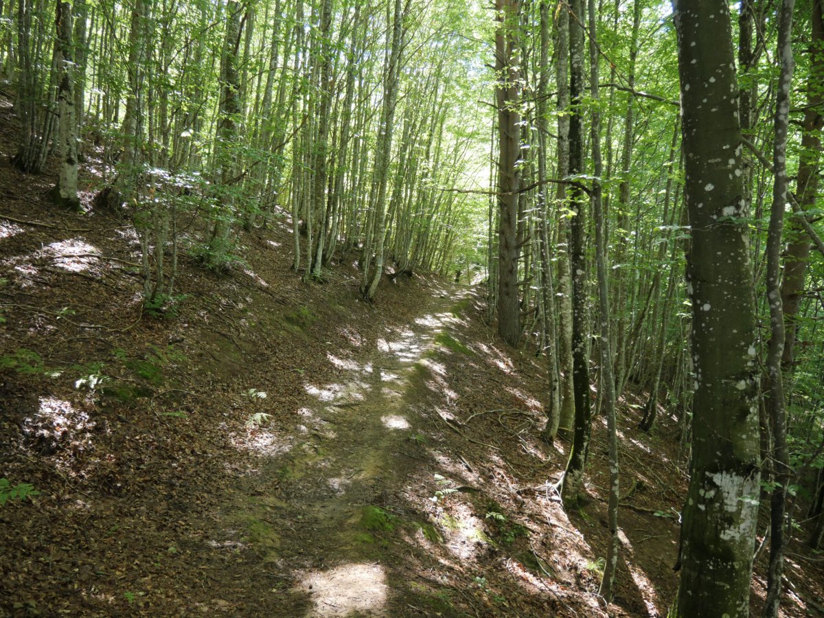 Bidea pagadian barrena, Arrakogoiti aldean