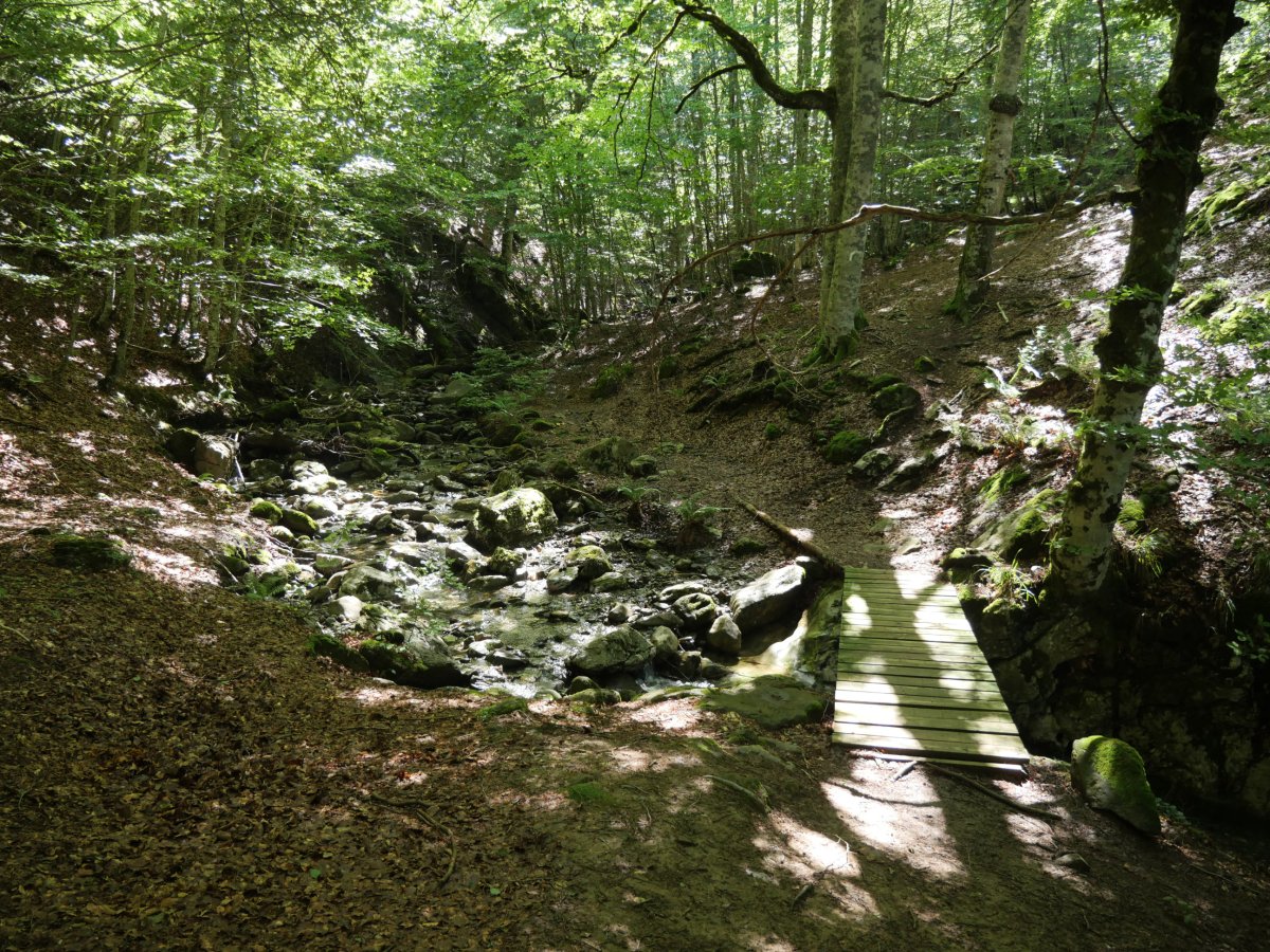 Zurezko zubia bidean