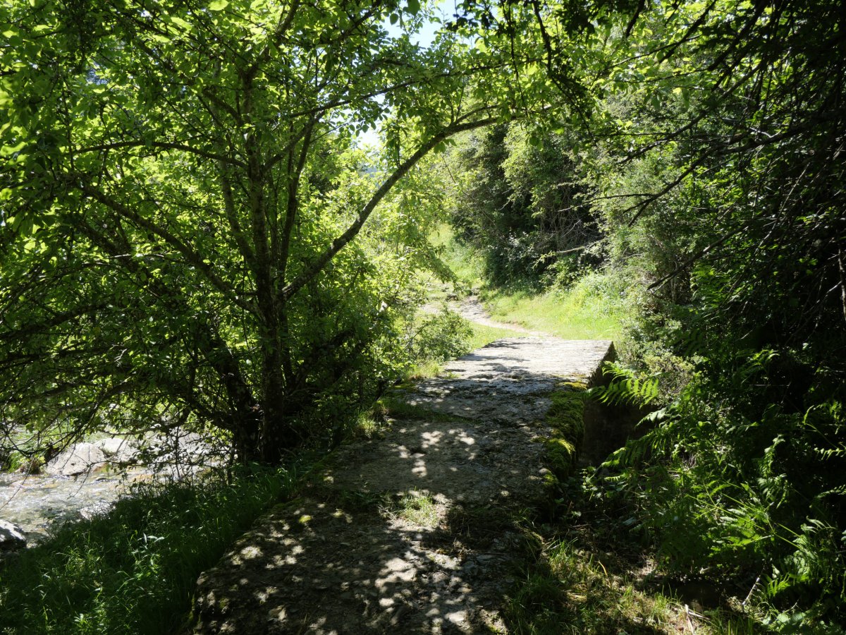 Zubia Arrakogoiti errekaren gainean