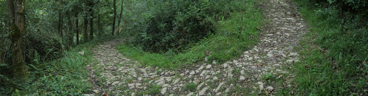 Galtzada zaharra, errekara jaisten