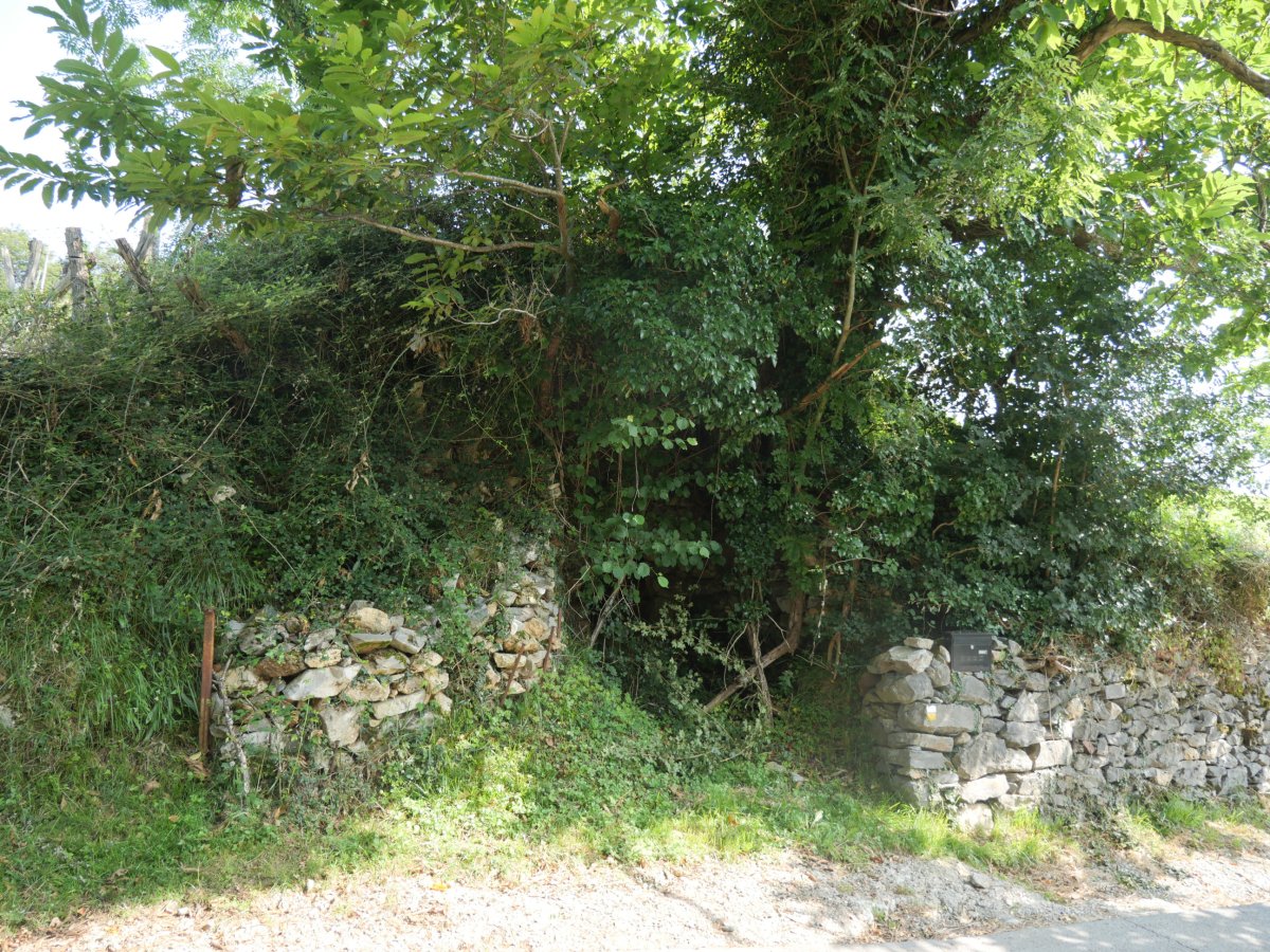 Aitonen Bordako kisulabea, Arantza