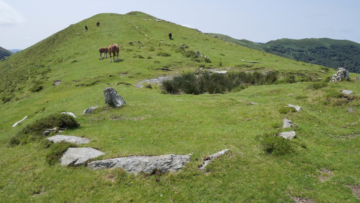 Gerasuko Atakako harrespila