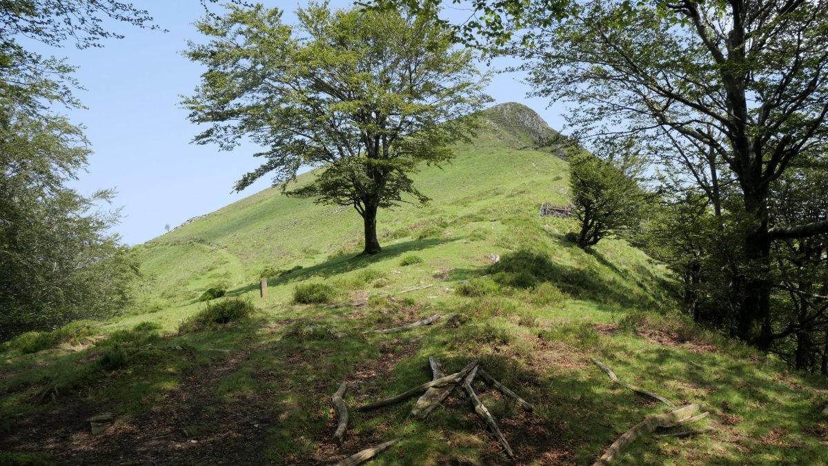 Komizko Gaina Ibintzako lepotik