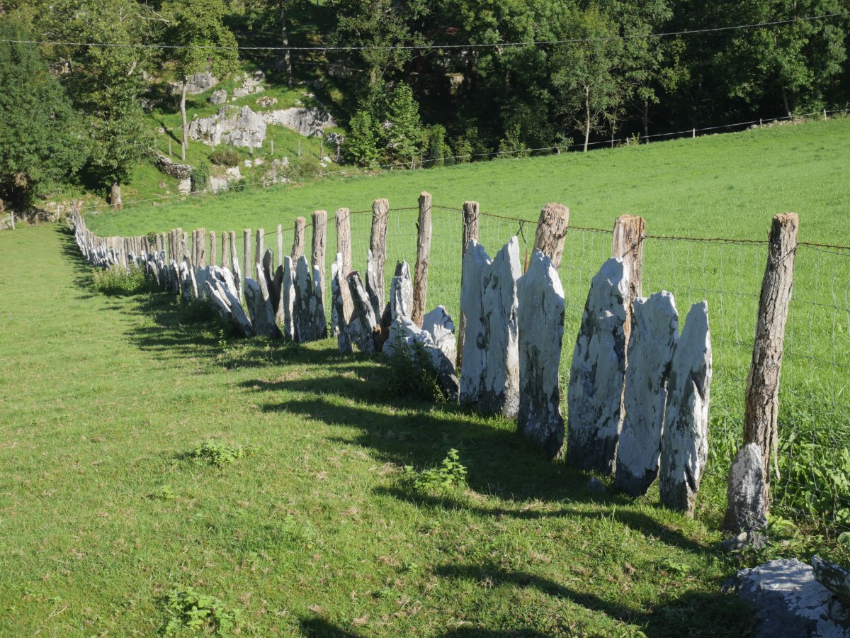 Harrizko hesi zaharra eta alambre hesi berria