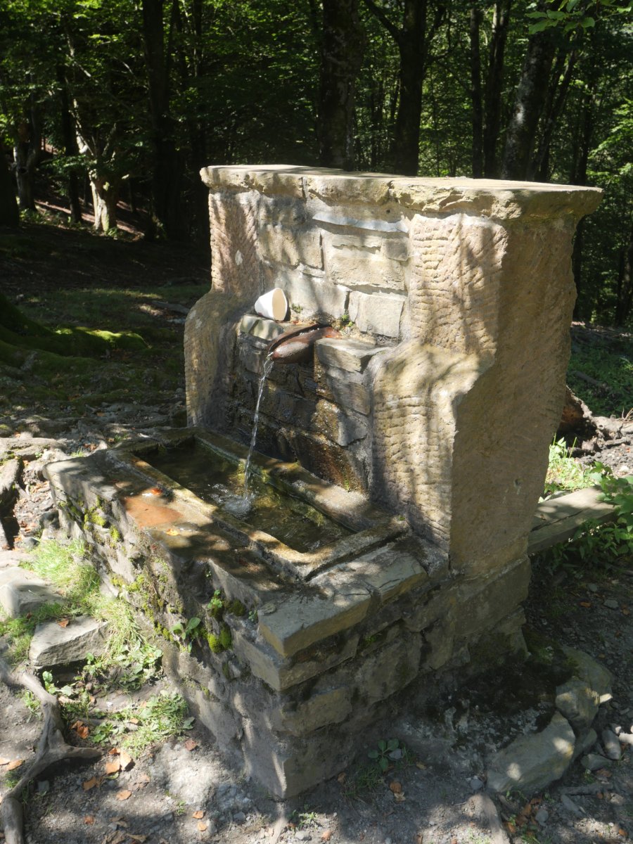 Itsazelaieta lepoko iturria