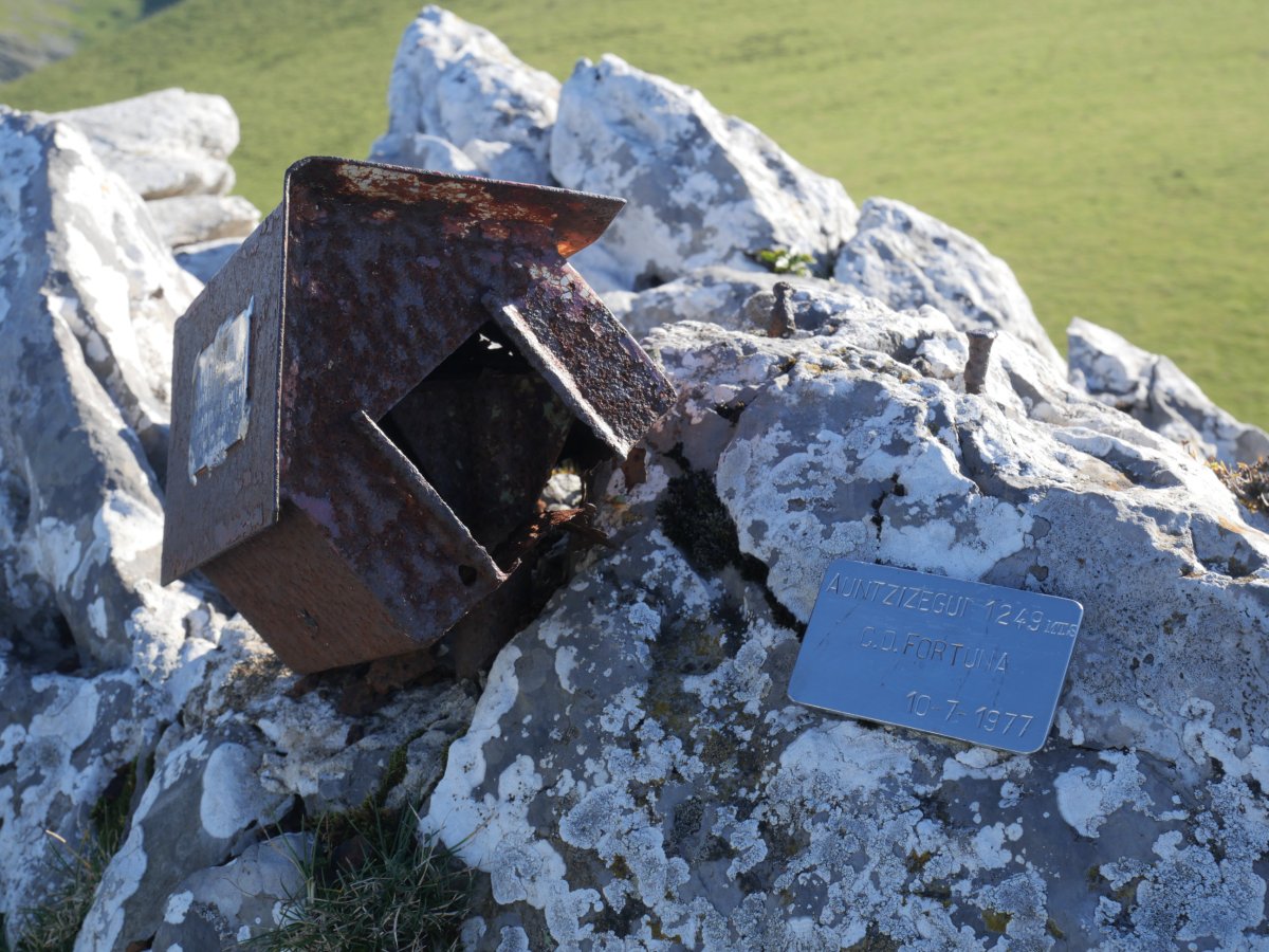 Auntzizegi txartelontzia