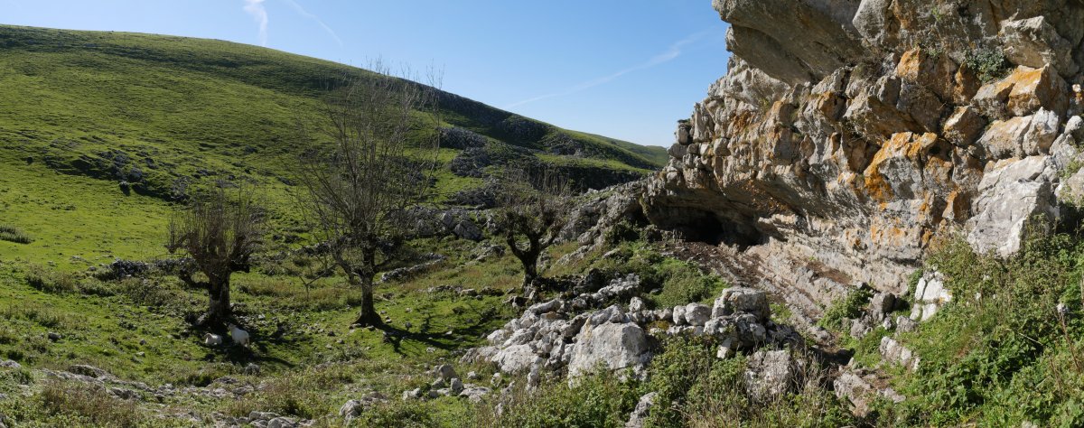 Belingaratzeko harpea