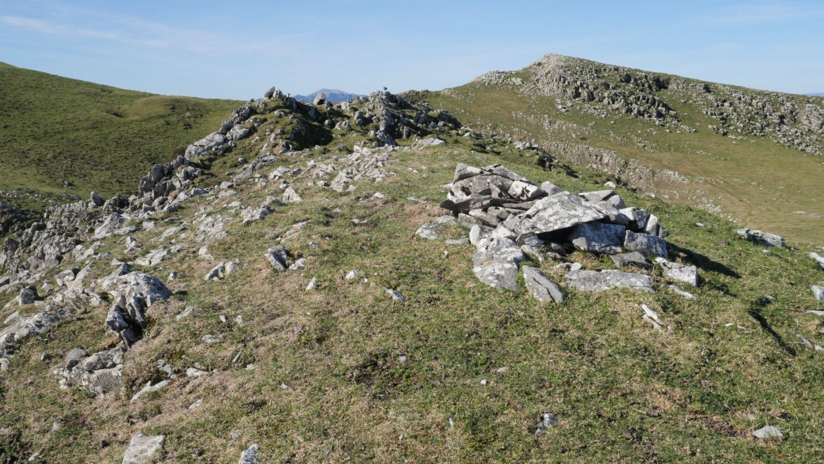 Saltarrimendi gaina ekialdean