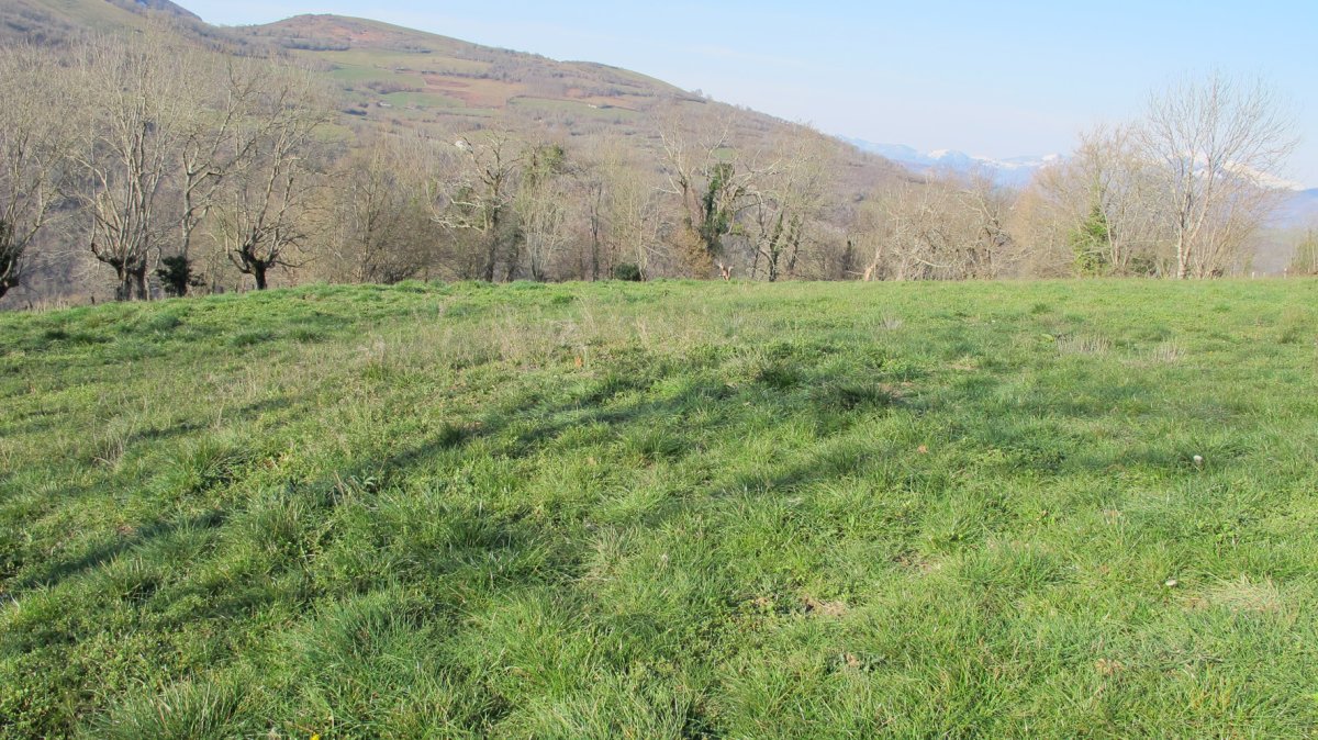 Arretxeko Borda 2 tumulua, Gartzain-Baztan