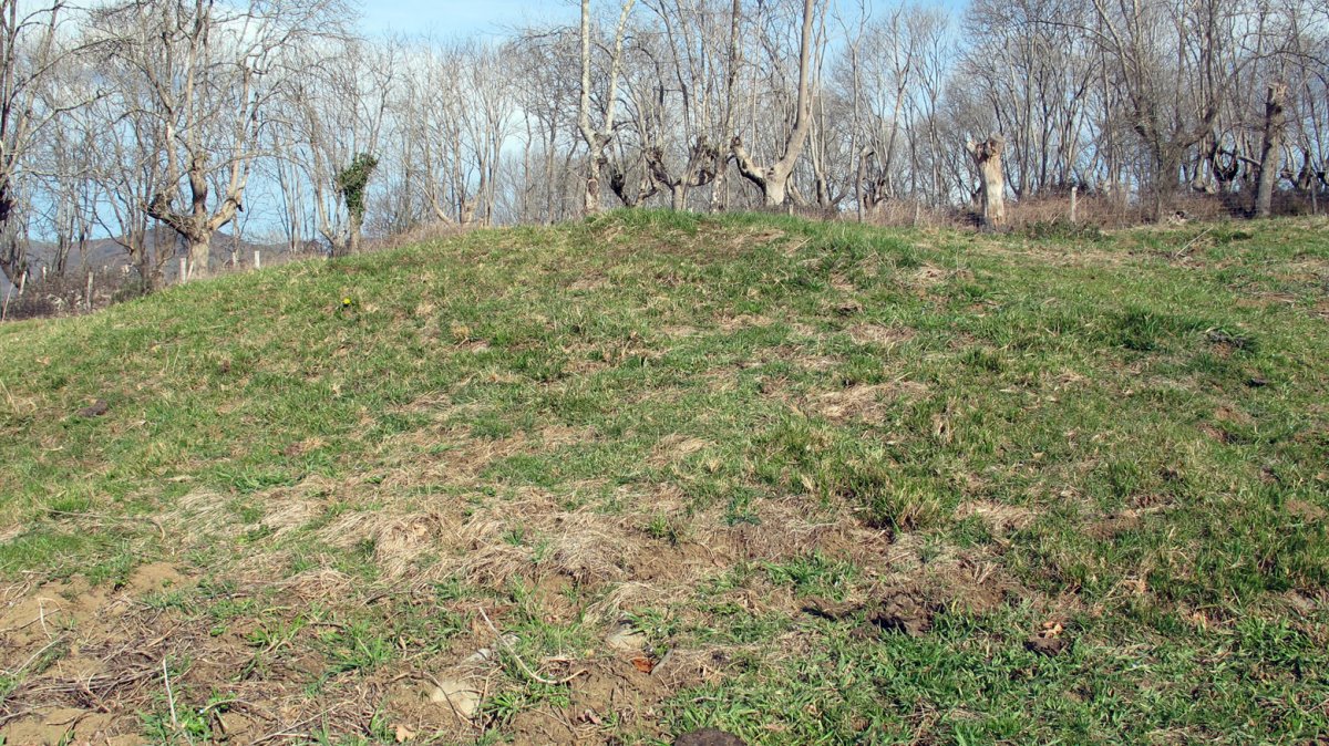 Indarteko Borda 3 etxola hondoa, Gartzain-Baztan