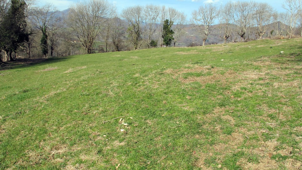 Indarteko Borda 4 etxola hondoa, Gartzain-Baztan