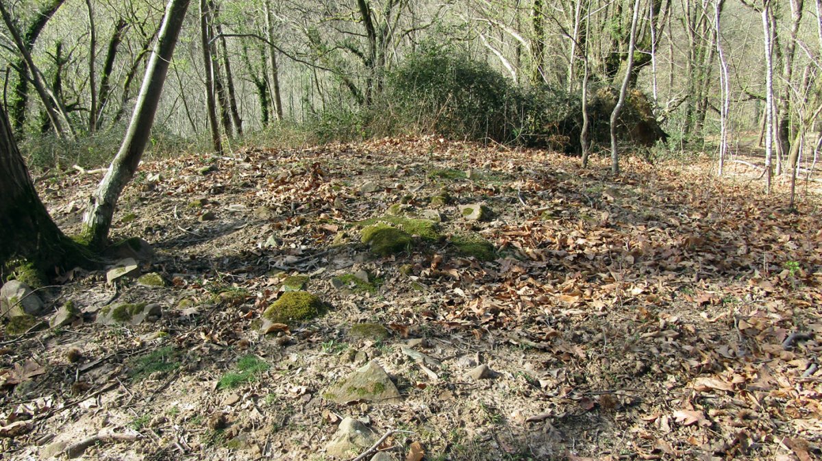 Xoraxuriko Borda tumulua, Etxalar