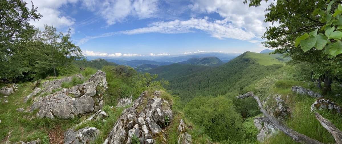 Erpin Geodesikodun Tontorra