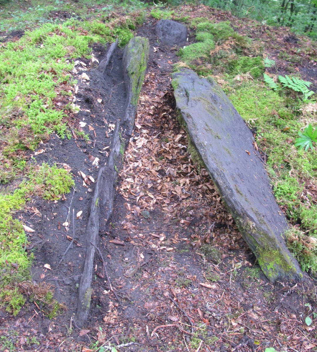 Argibel trikuharria, Donamaria