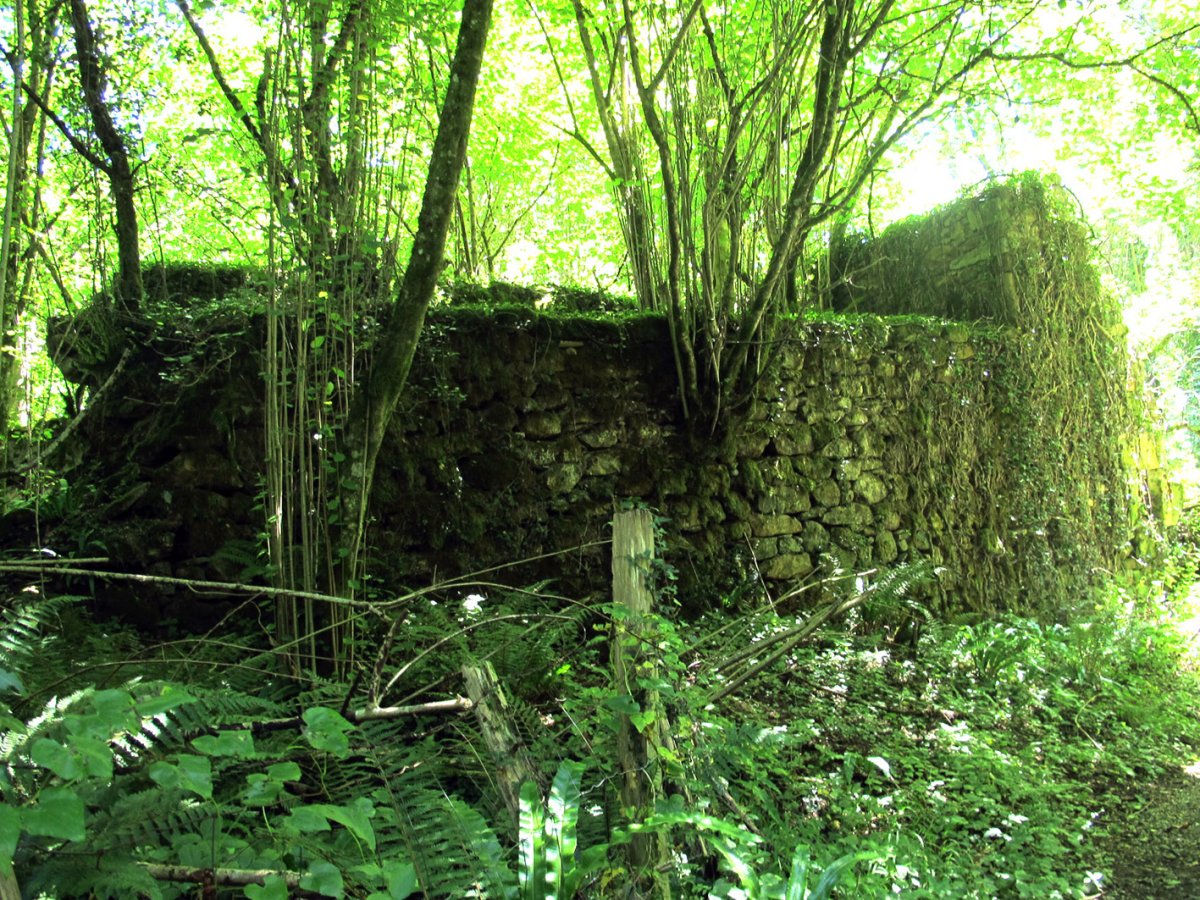 Errotako hondakinak, Ezkurra