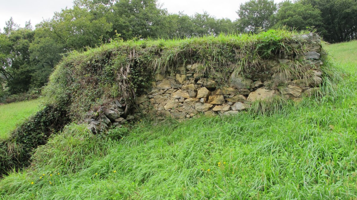 Albitz karobia, Arantza