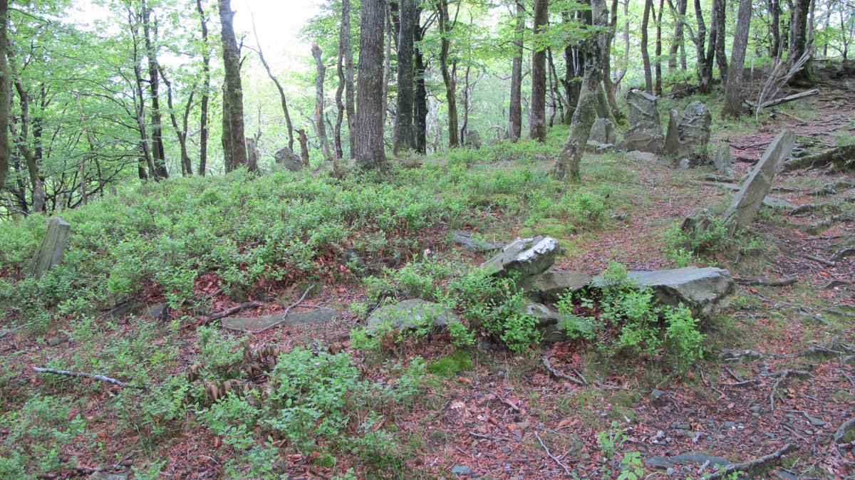 Baraxar Pagoxar harrespila, Goizueta