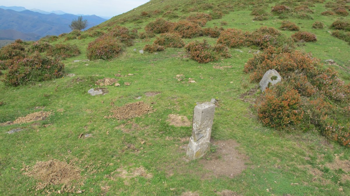 Beltzuntza harrespila, Goizueta