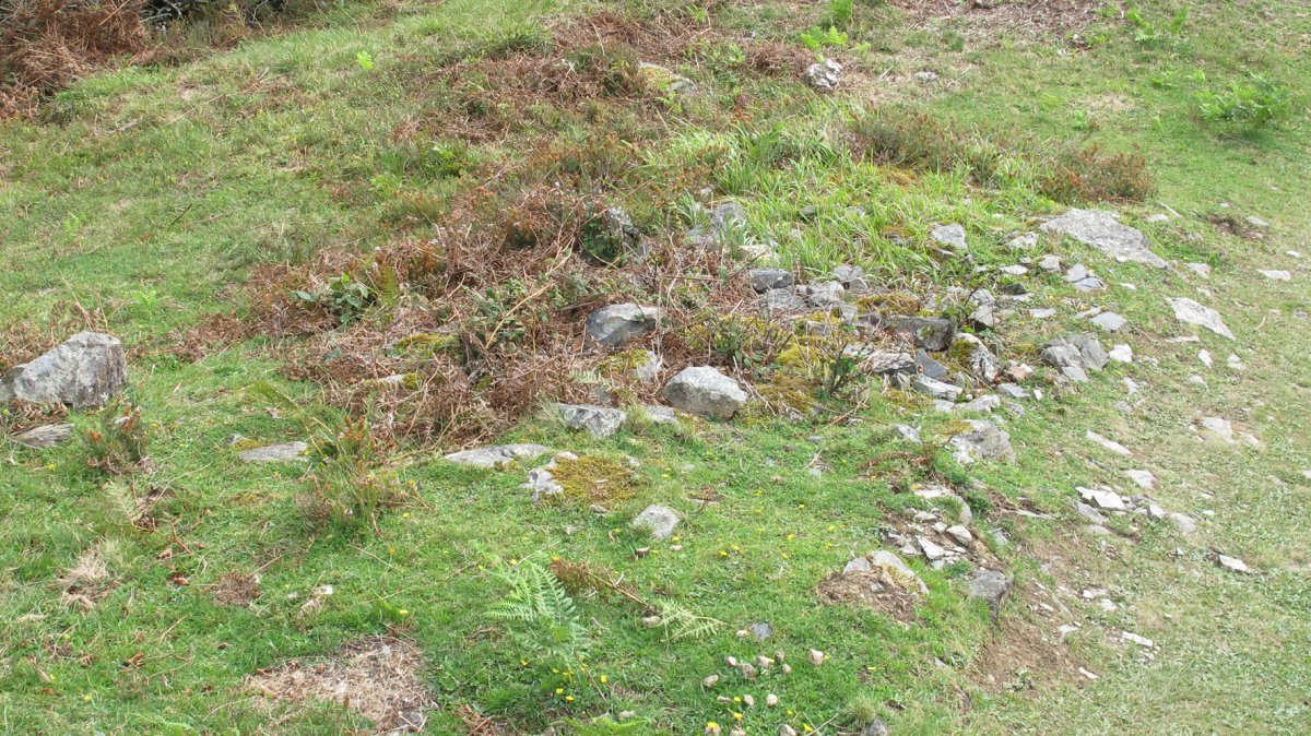 Ollargarata tumulua, Arantza