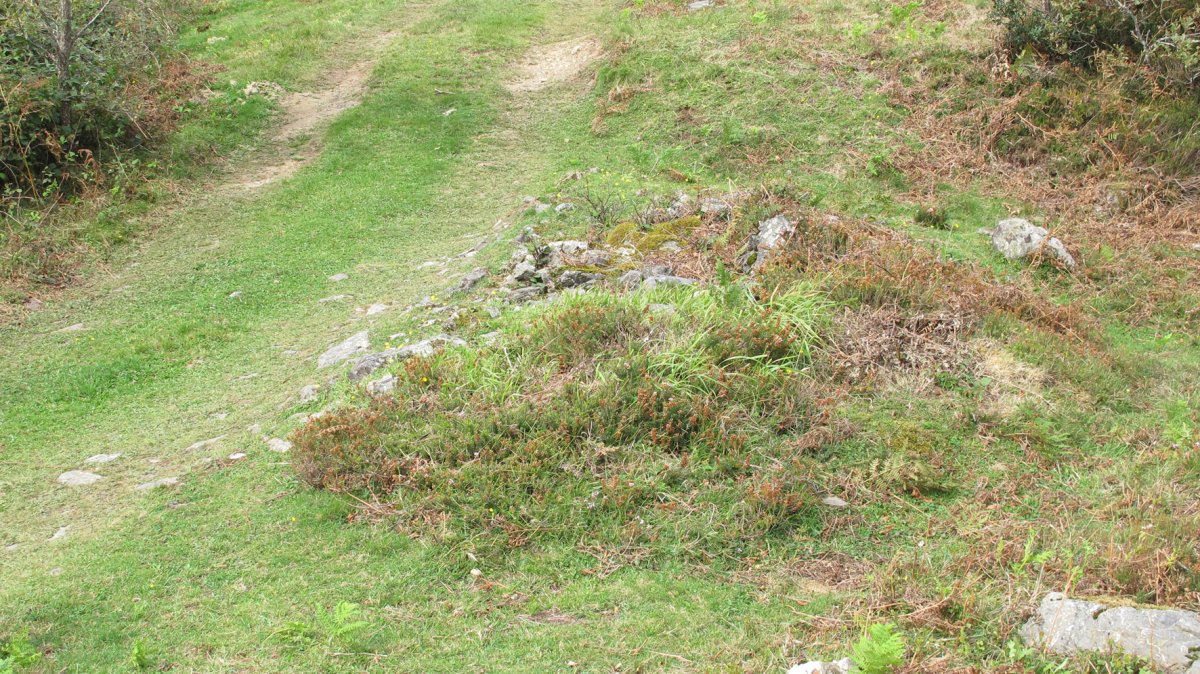 Ollargarata tumulua, Arantza