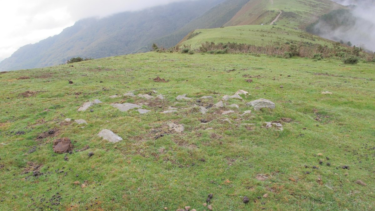 Zipuru tumulua, Arantza