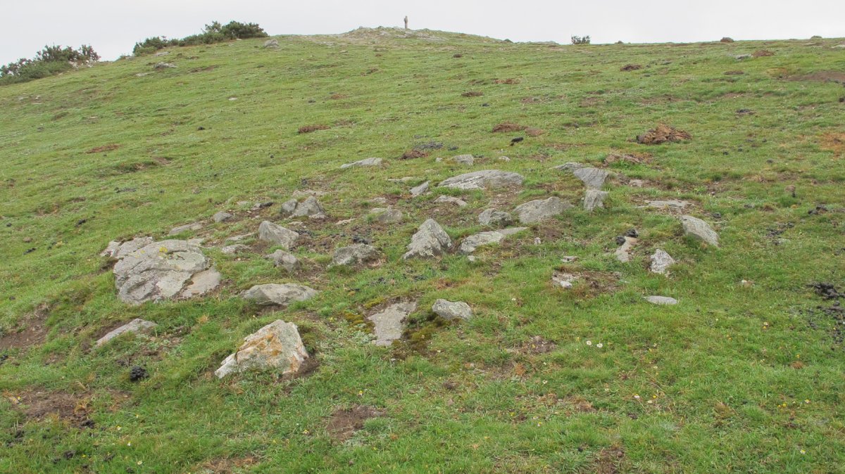 Zipuru tumulua, Arantza