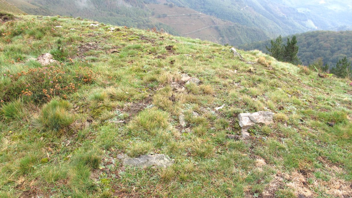 Mairubaratzeta harrespila, Sunbilla