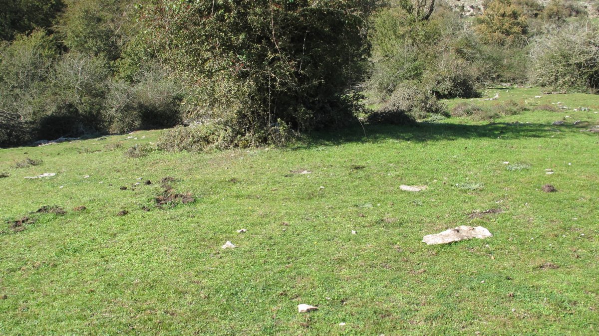 Soosa 13 etxola hondoa, Andia