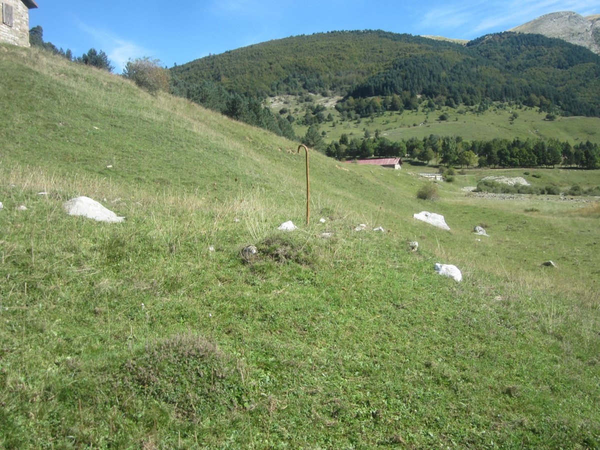 Túmulo Zuriza (09-2023)