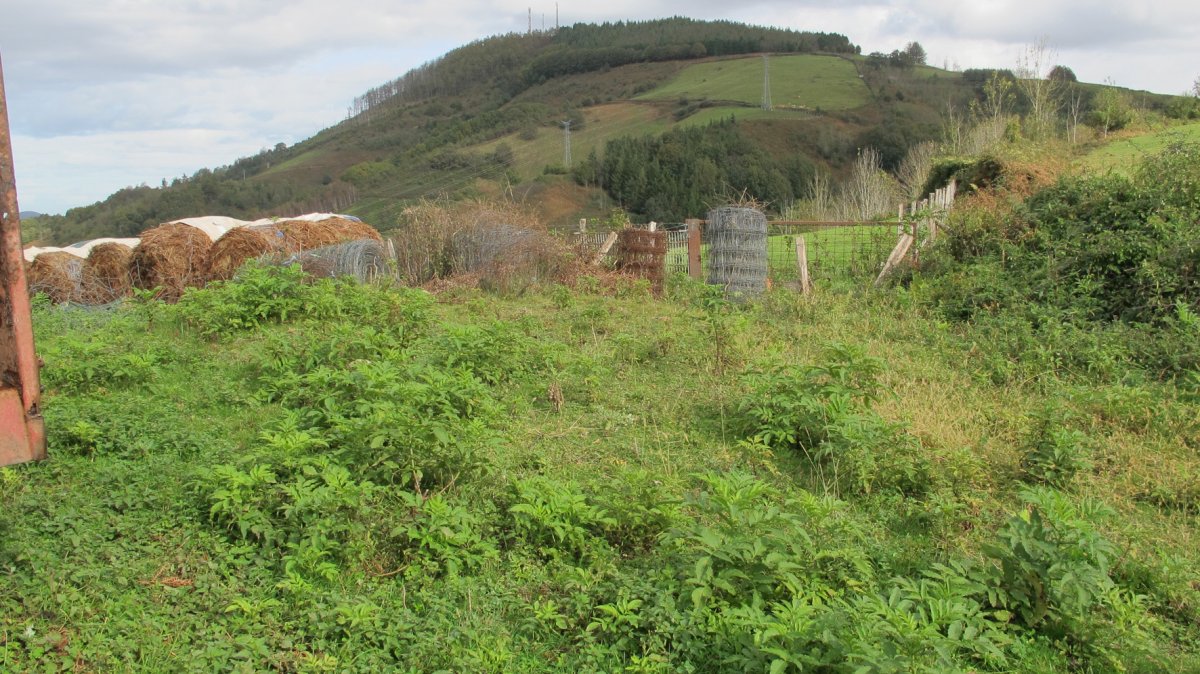 Meakako Gaña tumulua, Igantzi