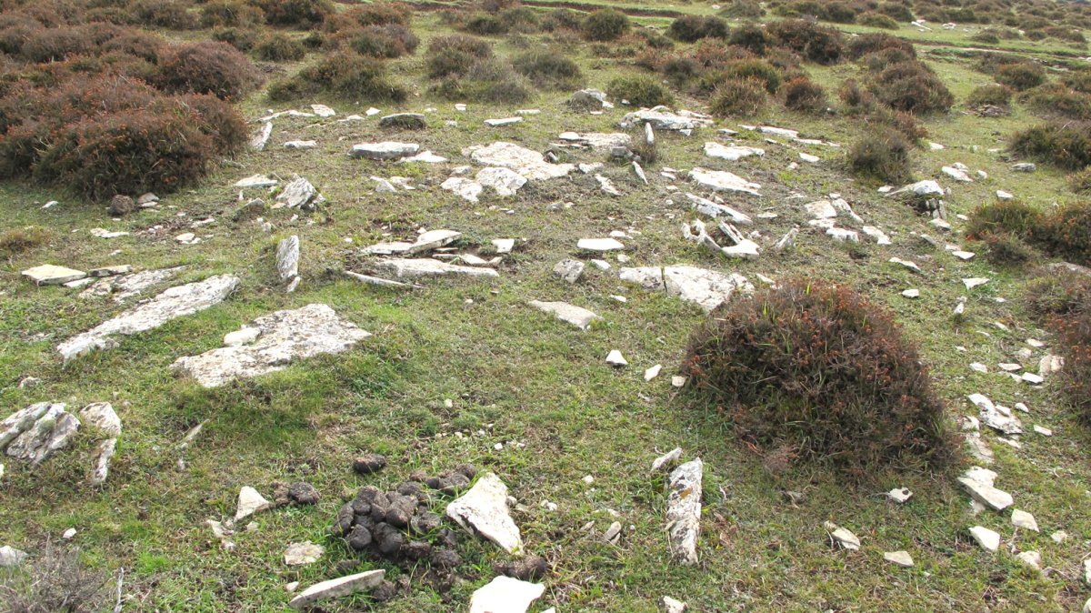 El Robo 10 tumulua, Andia