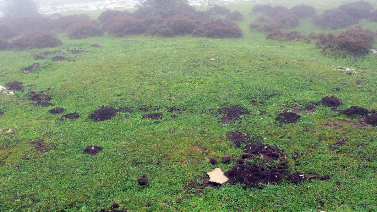 Pokapena 6 etxola hondoa, Andia