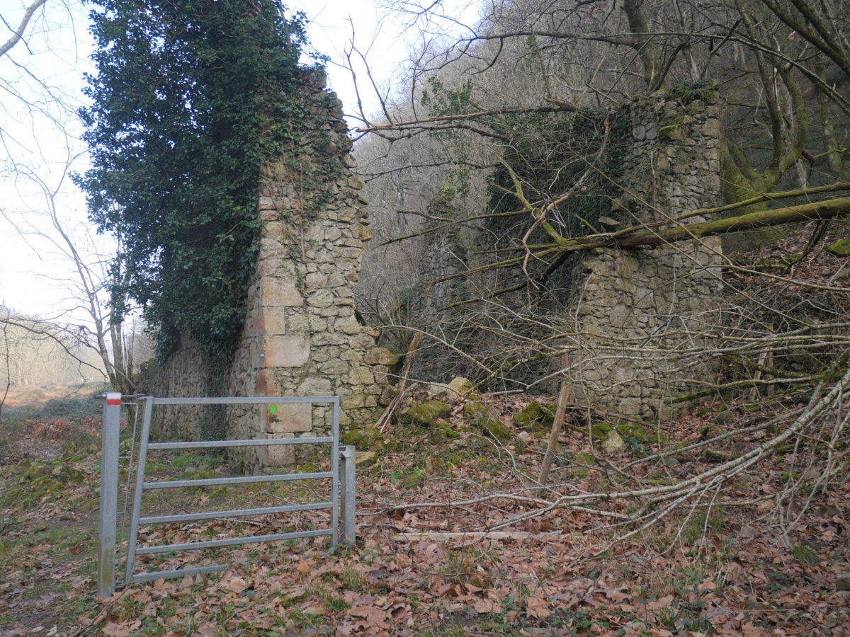 Etxe baten aurriak Bidasoa bazterrean