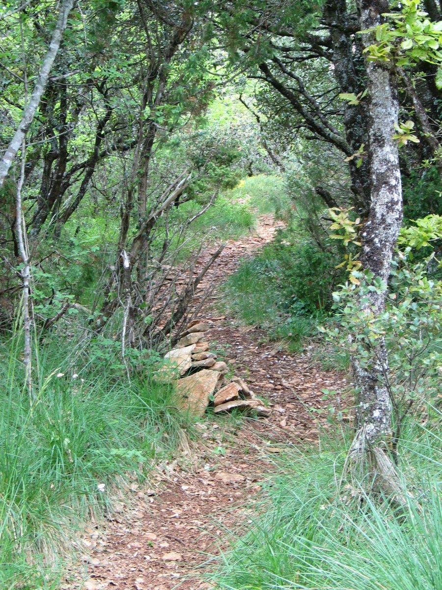 Azken metroetako pasarte bat, hegoaldeko isurialdean gora