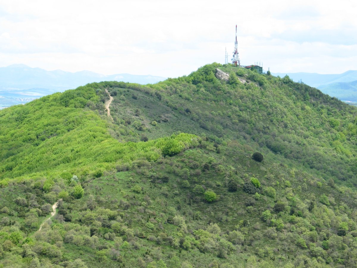 Bustuko Ganetik ikusita